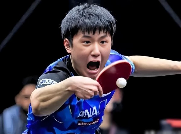 张本眷属风云合手续发酵，中国网民敕令：排除张本宇的执教合约